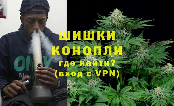 PSILOCYBIN Белоозёрский