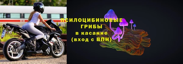 Альфа ПВП Белокуриха