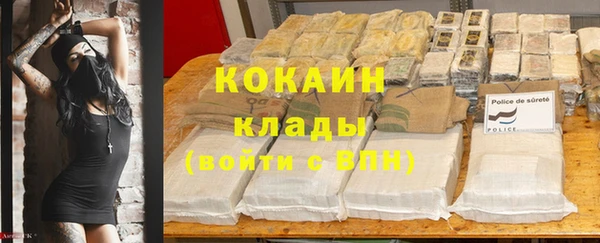Альфа ПВП Белокуриха