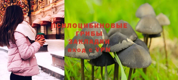 PSILOCYBIN Белоозёрский