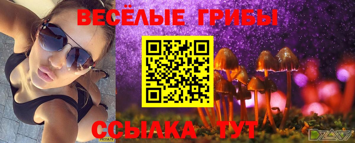 Воскресенск  Псилоцибиновые грибы мухоморы  Вход с VPN 