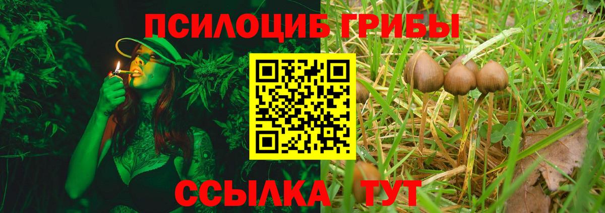 Галлюциногенные грибы Cubensis  Воскресенск  Псилоцибиновые грибы прущие грибы 